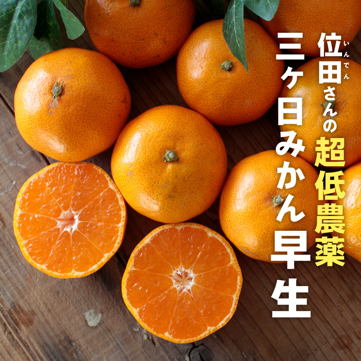 三ヶ日 みかん