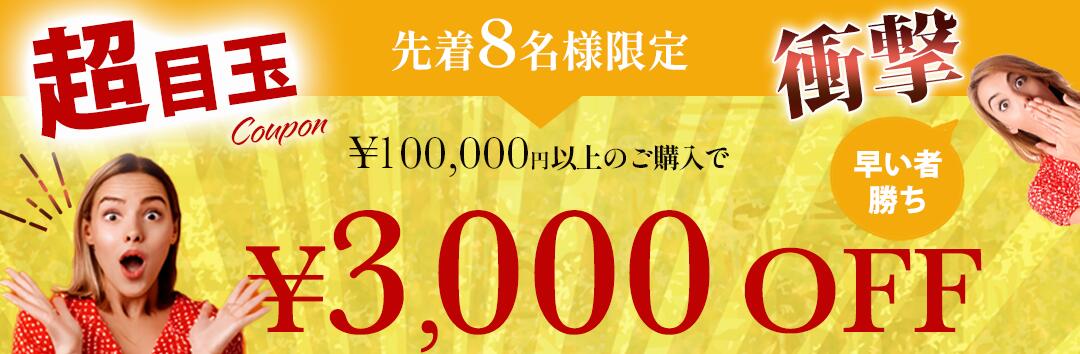 【すぐ届く/お洒落なバイカラー】CHANEL バレッタ 2色 ロゴ gift 楽天市場】マラソン最大6万円クーポン発行中！レア【在庫即発