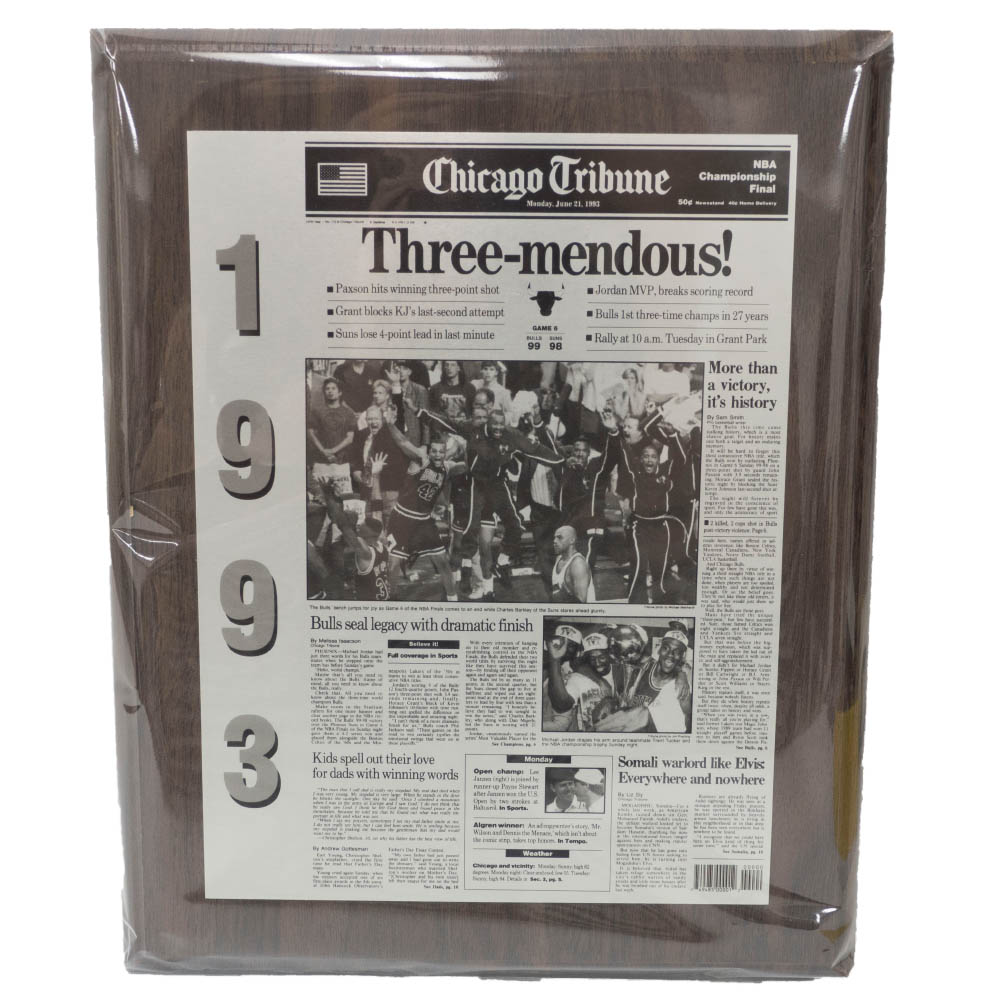 Teamfive チームファイブ レフリーパンツ レフリー 審判 パンツ Arpl 03 レディース バスケ バスケット 女性用