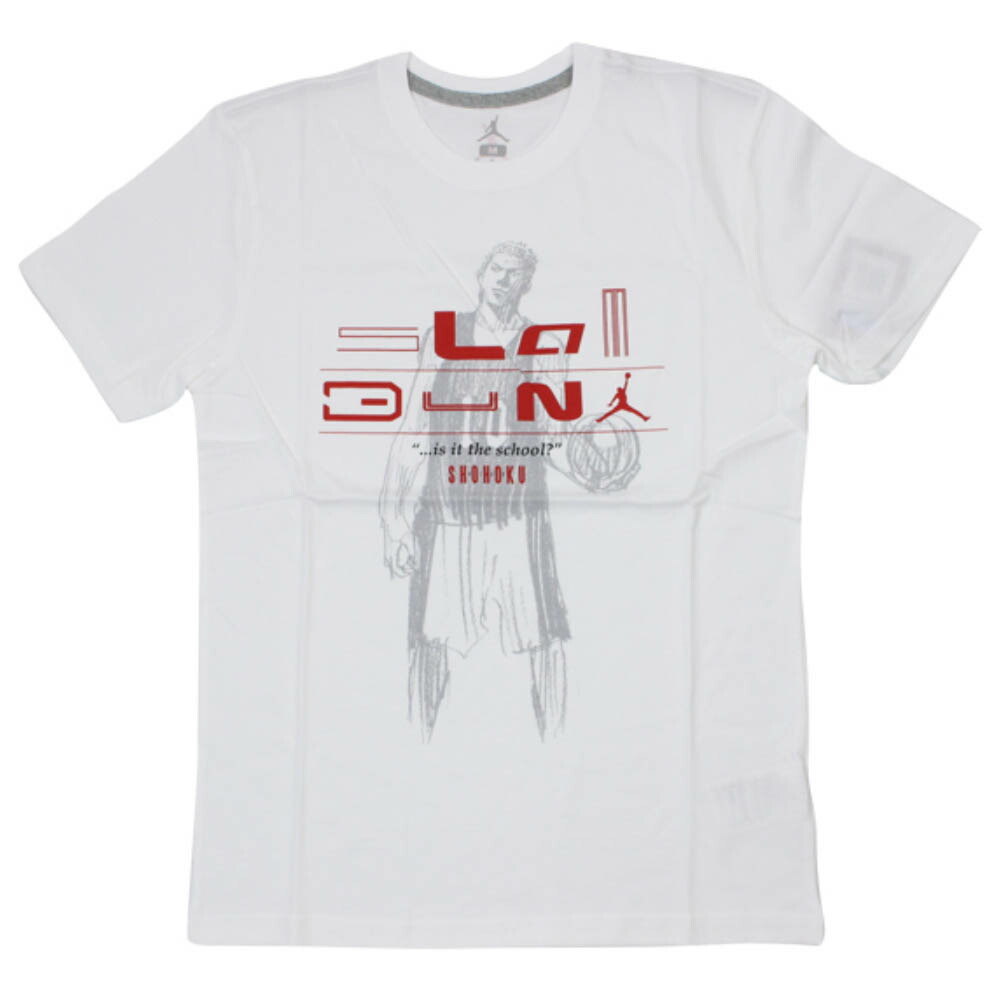 jordan dunk t shirt