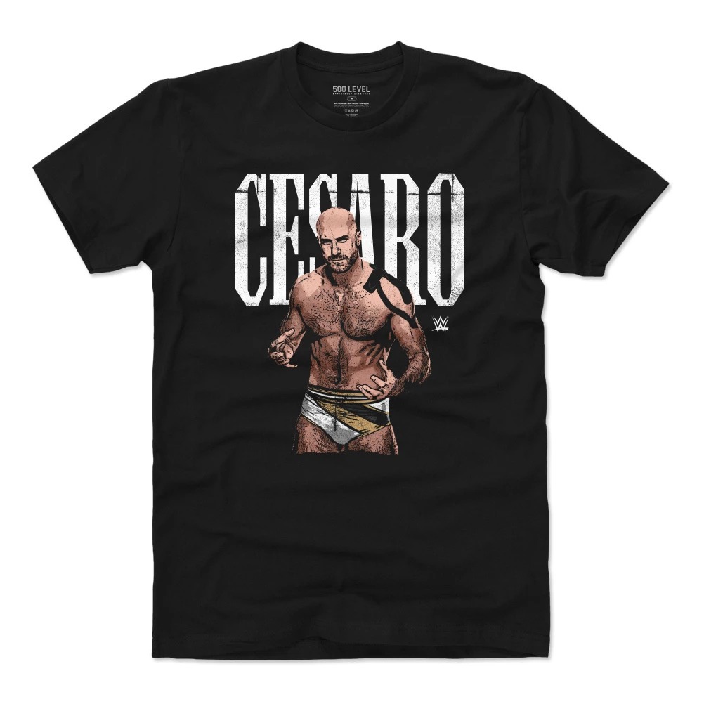ブロンブレイカー 未使用 未開封 WWE 公式グッズ Tシャツ サイズL ブロンブレイカー 未使用 未開封 WWE 公式グッズ Tシャツ サイズ