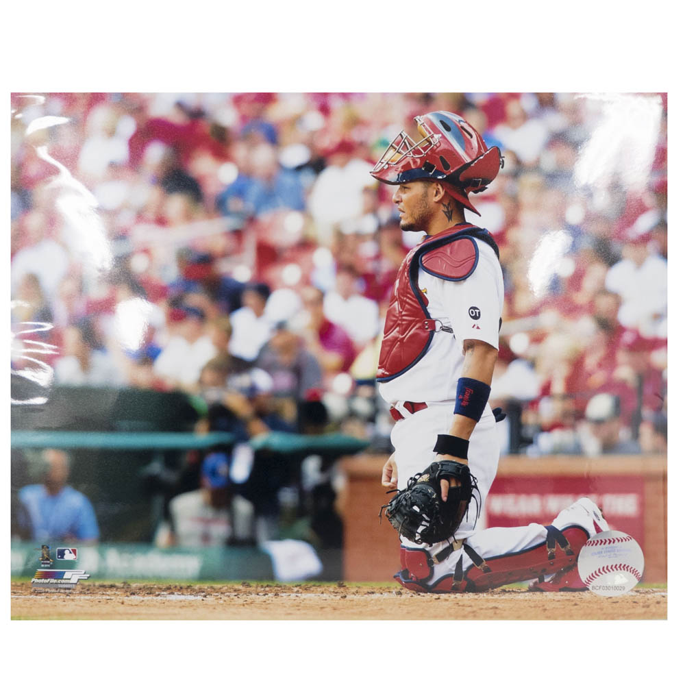 楽天市場 Mlb ヤディエル モリーナ セントルイス カージナルス Yadier Molina St Louis Cardinals 15 8x10 フォト 写真 Photo File Mlb Nbaグッズショップ Selection