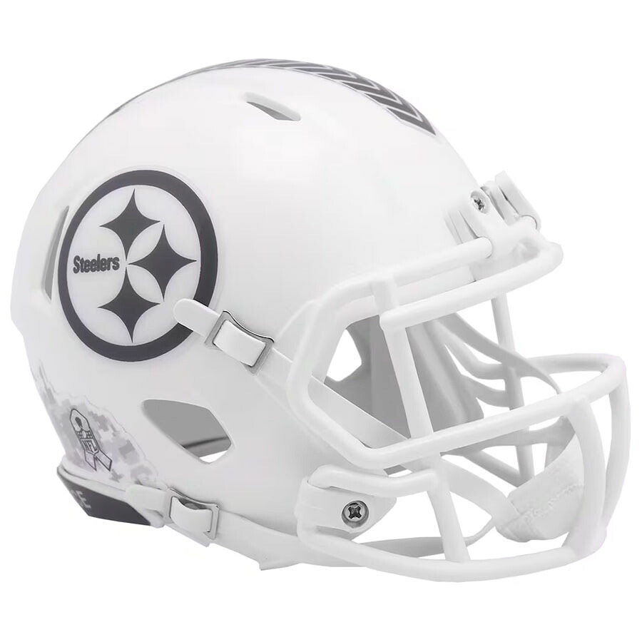 NFL スティーラーズ ミニヘルメット 【現地買付】2024 サルート トゥ サービス Salute To Service Mini Helmet Riddell
