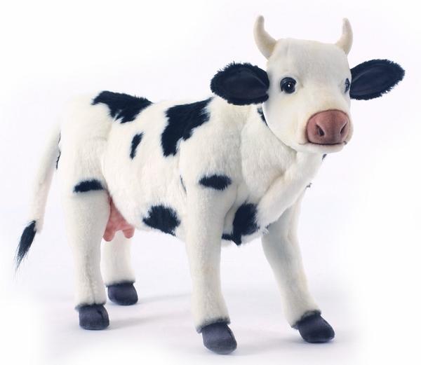 cow doll
