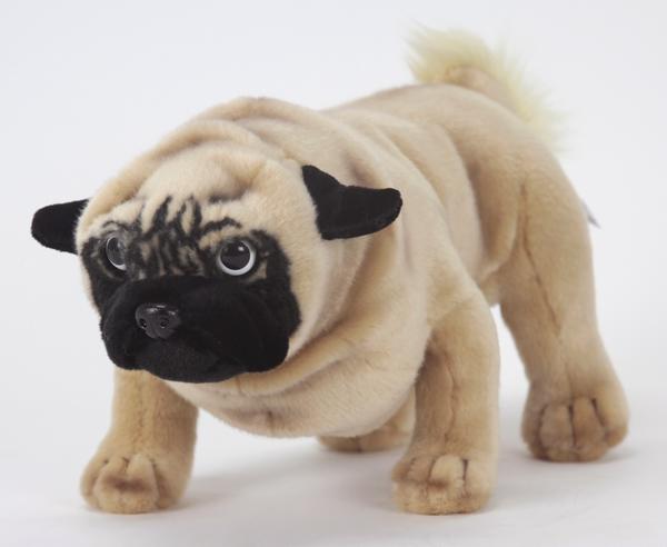 楽天市場】KOESEN ケーセン社 パグ 立ち 5890〜ドイツ・KOESEN/KOSEN