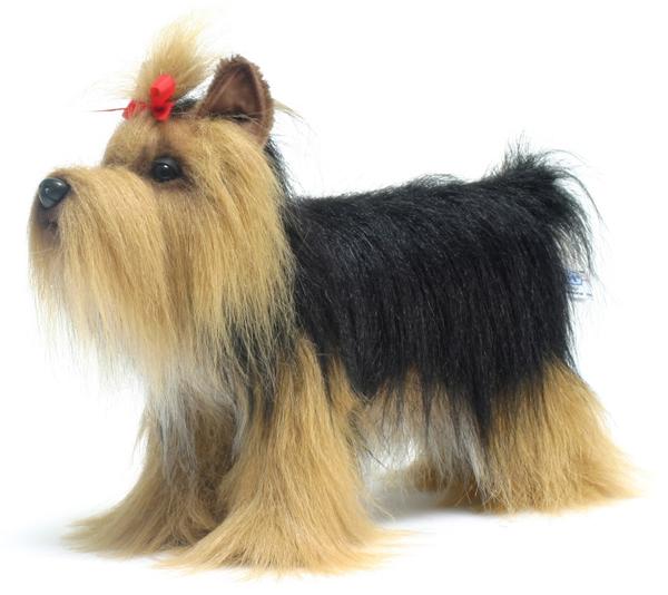 楽天市場】【シュタイフ公式】 ヨークシャテリアのヘラクレス いぬ