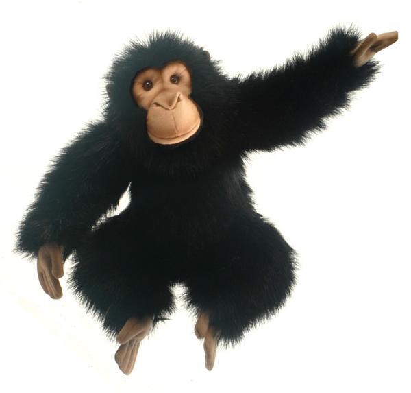 楽天市場 Hansa チンパンジー 2306 送料無料 サル さる 猿 人形 置物 オブジェ ぬいぐるみ キャラクターグッズ 楽天ランキング受賞 ぬいぐるみ サルランキング 3位 16 9 17デイリー セレクトプラス