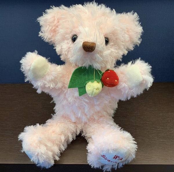 楽天市場】【難あり】【即納】WDWハーマン テディベア ぬいぐるみ 2006