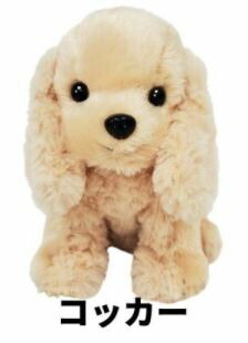 楽天市場】ぬいぐるみ コッカースパニエル 犬のぬいぐるみ リアル