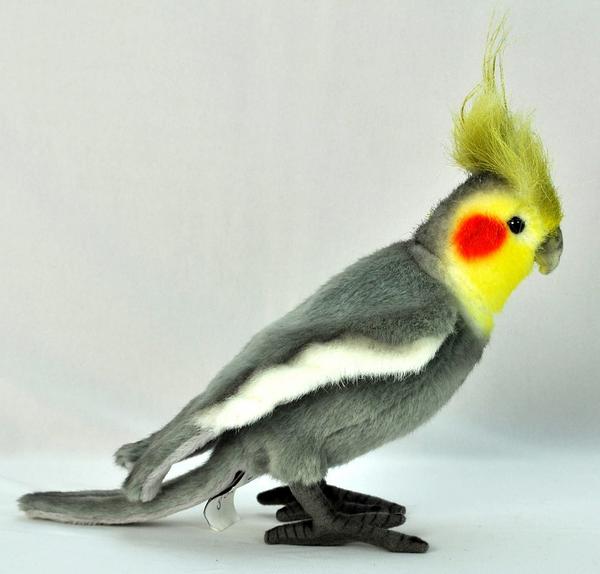 良い品物を提供しています様 オカメインコ オブジェ TOMO YAMASHITA DESIGN STUDIO. A4クリアファイル オカメンズ4月号