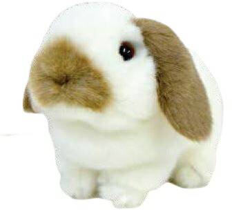 楽天市場】【クーポン最大600円OFF!】在庫あり!!【メール便送料無料