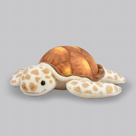 楽天市場】カメ ぬいぐるみ アカウミガメ Sサイズ : カロラータ
