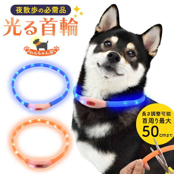 楽天市場】光る首輪をつけた おさんぽポメライト ホワイト