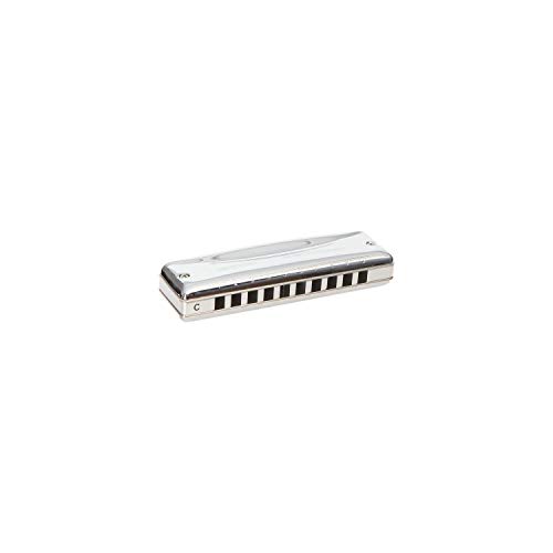 鈴木(スズキ)楽器 10Hハーモニカ プロマスター MR-350 C