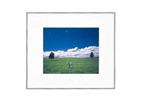 FUJICOLOR 額縁 ワイドマットフレーム A5010 アクリル 全紙 アルミ シルバー 303593