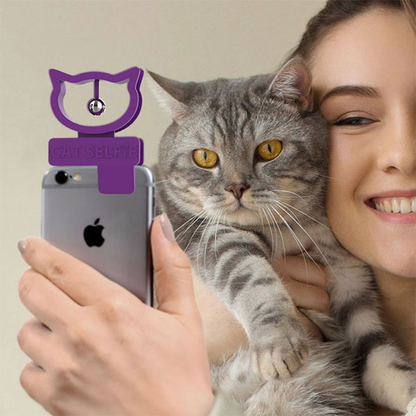 楽天市場 Cat Selfie 猫自撮り ネコ ねこ 猫写真 写真 自撮り写真 鈴付き 猫の自撮り ねこ写真 ネコ写真 レディース通販のソラーラ