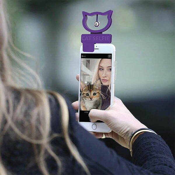 楽天市場 Cat Selfie 猫自撮り ネコ ねこ 猫写真 写真 自撮り写真 鈴付き 猫の自撮り ねこ写真 ネコ写真 レディース通販のソラーラ