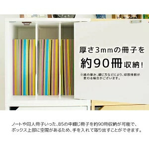完成品 大切な本やコミックは鍵付きで キューブボックス 鍵付き 仕切り付き 鍵付き本棚 同人誌ラック 同人誌 収納 ケース 木製 コミックラック B5 A5 おしゃれ 扉付き本棚 Csecully Fr