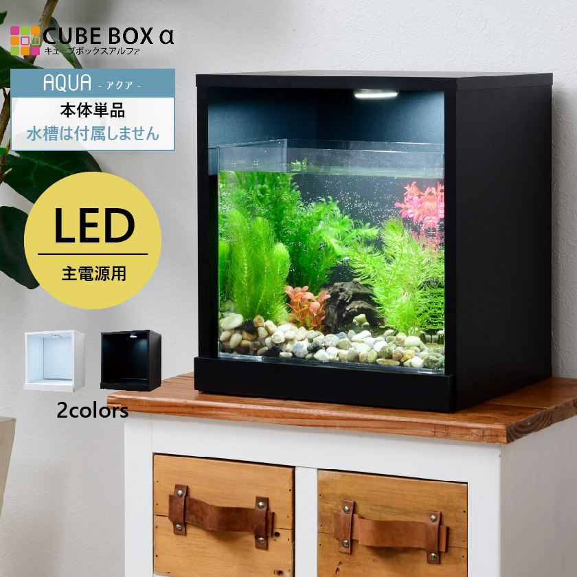 【楽天市場】【増設用】 水草が枯れない LED付き キューブボックス 