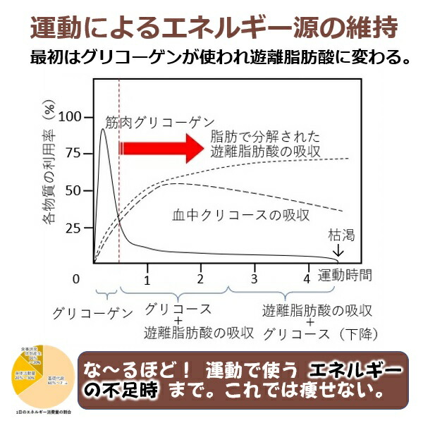 楽天市場 ダイエット健康ダイエット器具 健康グッズ 冷却グッズ 暑さ対策 魔法の 背中クールタイ M 痩せるのはかんたんよ 褐色脂肪細胞 活性化 寒冷刺激 基礎代謝を上げる 健康痩せ 肥満脂肪 分解 体重を減らす ミトコンドリアを増やす 若返る スタミナup 条件付き