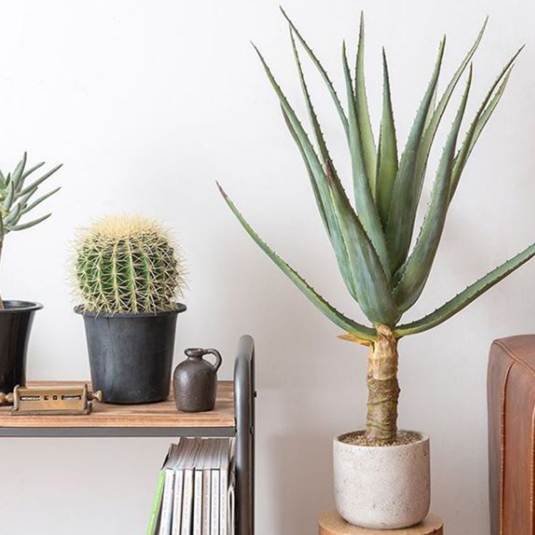 人工観葉植物 花 観葉植物 アロエ フェイクグリーン デコレーション ディスプレイ 観葉植物 ナチュラル フェイクグリーン 造花 観葉植物 アロエ インテリア 模様替え 造花 北欧 モダンリビング ナチュラル 緑のある暮らし 装飾 ディスプレイ ショップ 引越し祝い ドライ