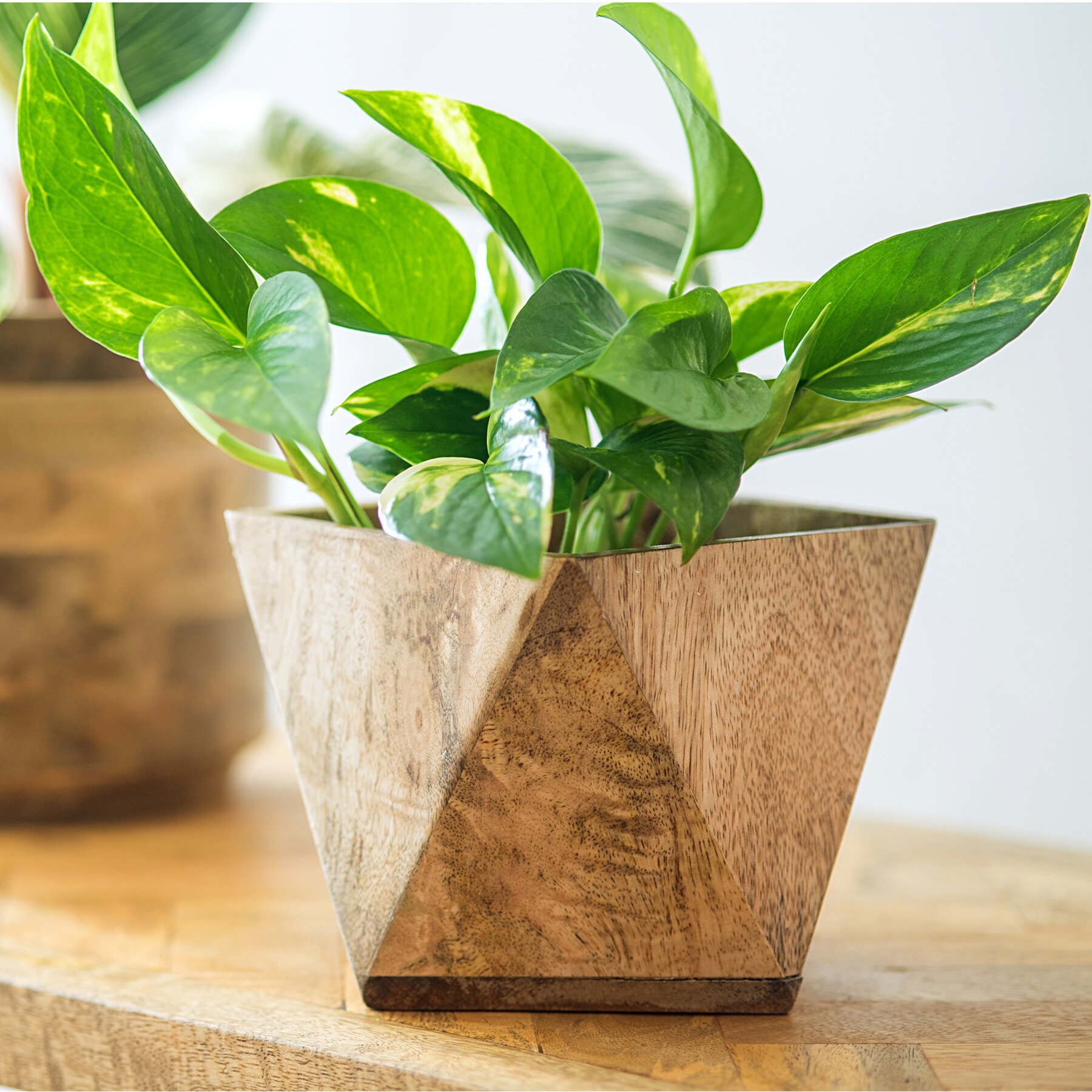 楽天市場】ヘリンボーンポットカバー 植木鉢 8号鉢推奨 ウッド