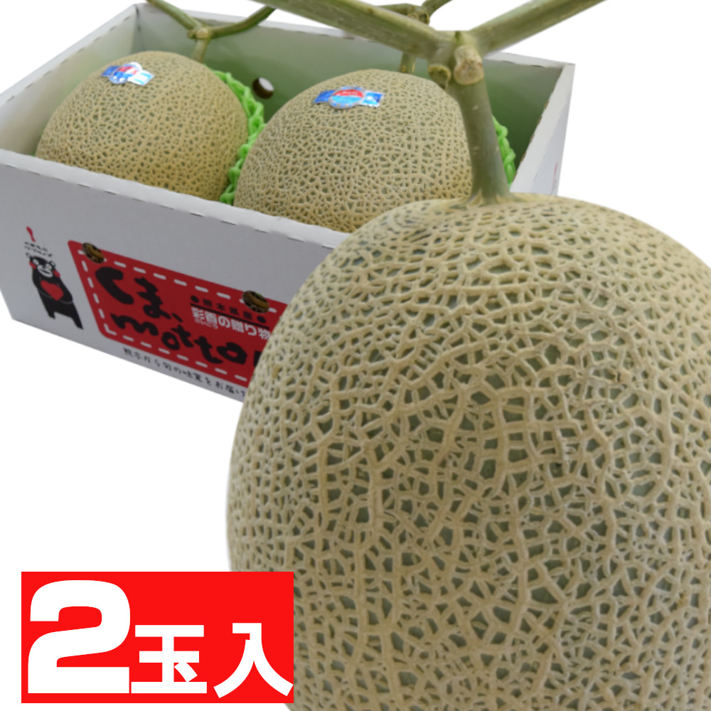 アールスメロン２玉【送料無料 お歳暮 お中元ギフト ご贈答用 果物ギフト お祝い マスクメロン 贈り物 ご家庭用 メロン めろん 果物 フルーツ フルーツギフト 果物ギフト メロンギフト 御祝 御礼 内祝 御供え 包装 くだもの 贈答 プレゼント 化粧箱