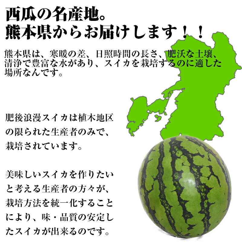 熊本出産スイカ 肥後浪漫スイカ2コウ丸 4l 5l号 1玉略9 10kg 送料無料 熊本 スイカ 果物頂き物 ご上げる働き 夏季ギフト お慶典 祝儀 ご門用 Cannes Encheres Com