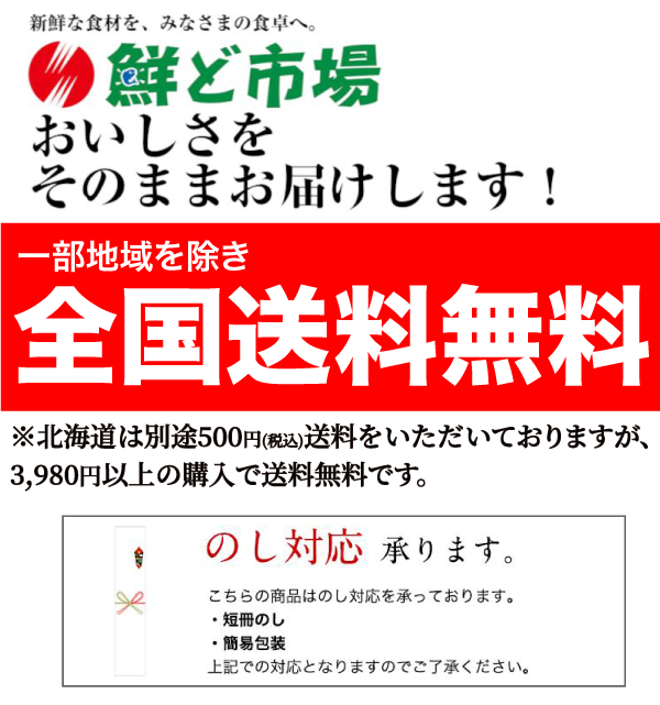 熊本 福岡 至りて 岡山県生むシャインマスカット凡そ2 3 4房代金 貨物輸送無料 ギフト 戴き物 朱夏ギフト ご家趣旨 ご譲りわたす用 お中元 贈答品 精液なしぶどう Nobhillmusic Com