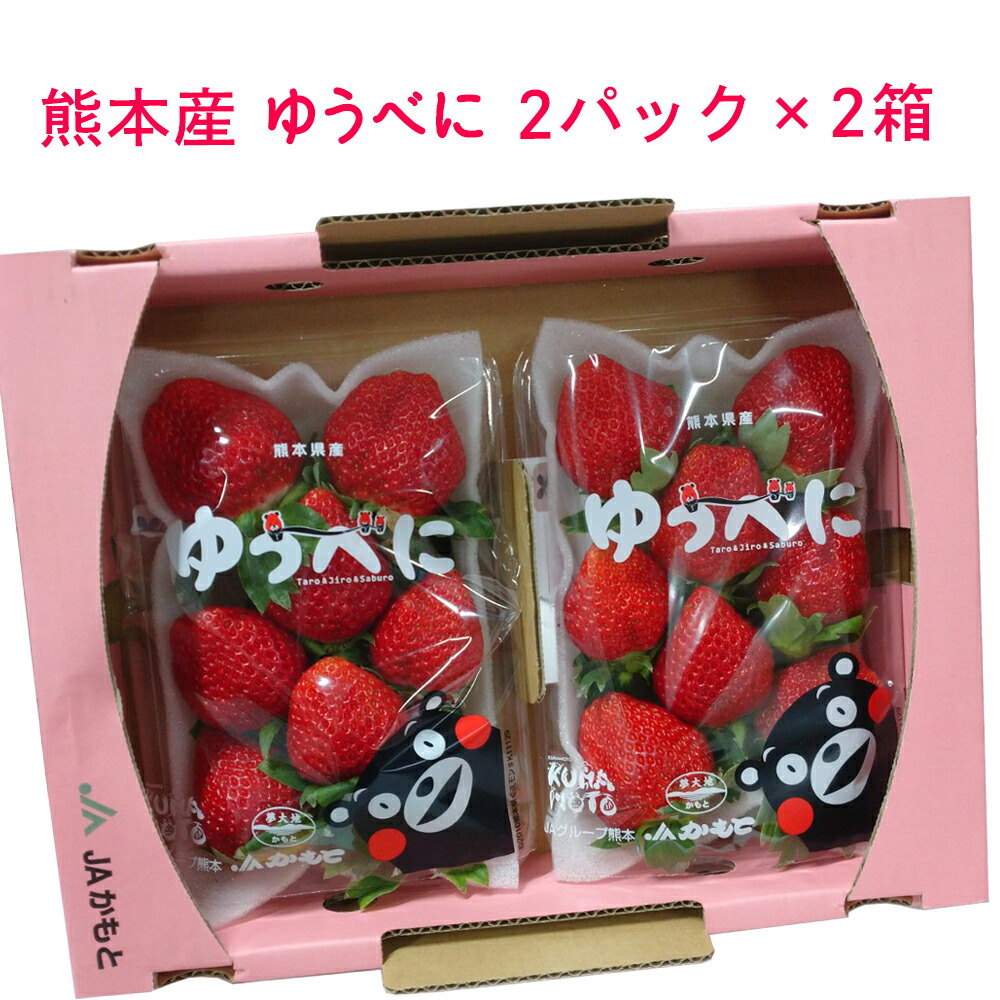 楽天市場】熊本県産いちご さがほのか 秀品 L〜2Lサイズ 4パック