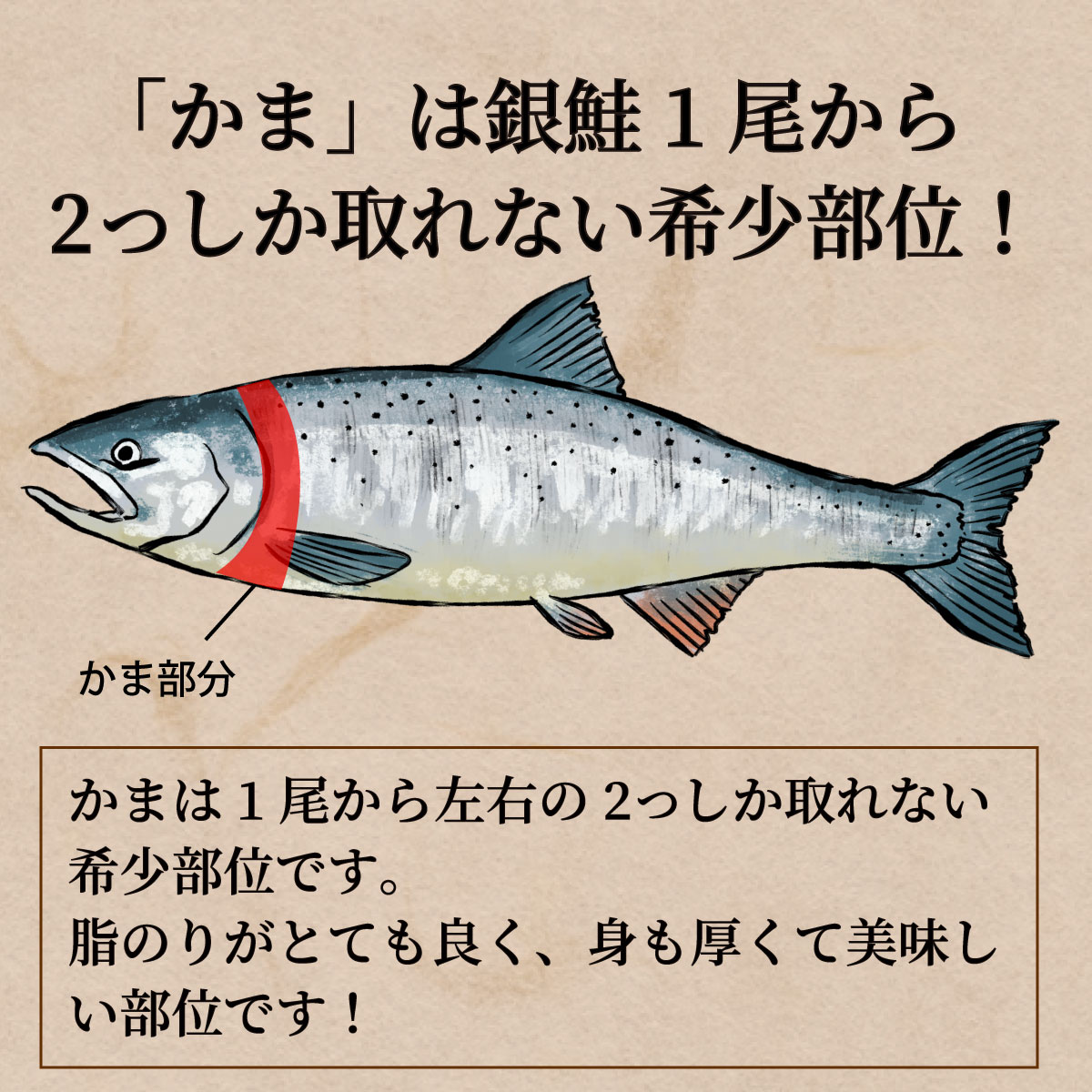 新素材新作 銀鮭かま チリ産 無塩 おすすめ品 鮮度抜群 鮮ど市場 無塩鮭 無塩さけ 無塩銀鮭 銀鮭 送料無料 大人気 人気商品 業務用 冷凍品  お取り寄せ お取り寄せグルメ 朝食 お弁当 まとめ買い 家庭用 塩焼き用 qdtek.vn