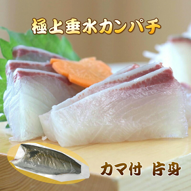カンパチ片身カマ付き  半身分　鹿児島垂水産【お刺身用】【産地直送】【送料無料】【8~10人前】お祝い    お歳暮 カンパチ刺身用 かんぱち お刺身用かんぱち 三枚おろし 調理済み  柵 骨取り 皮無し お祝い 秀品 高品質 産地直送 お取り寄せ かんぱち