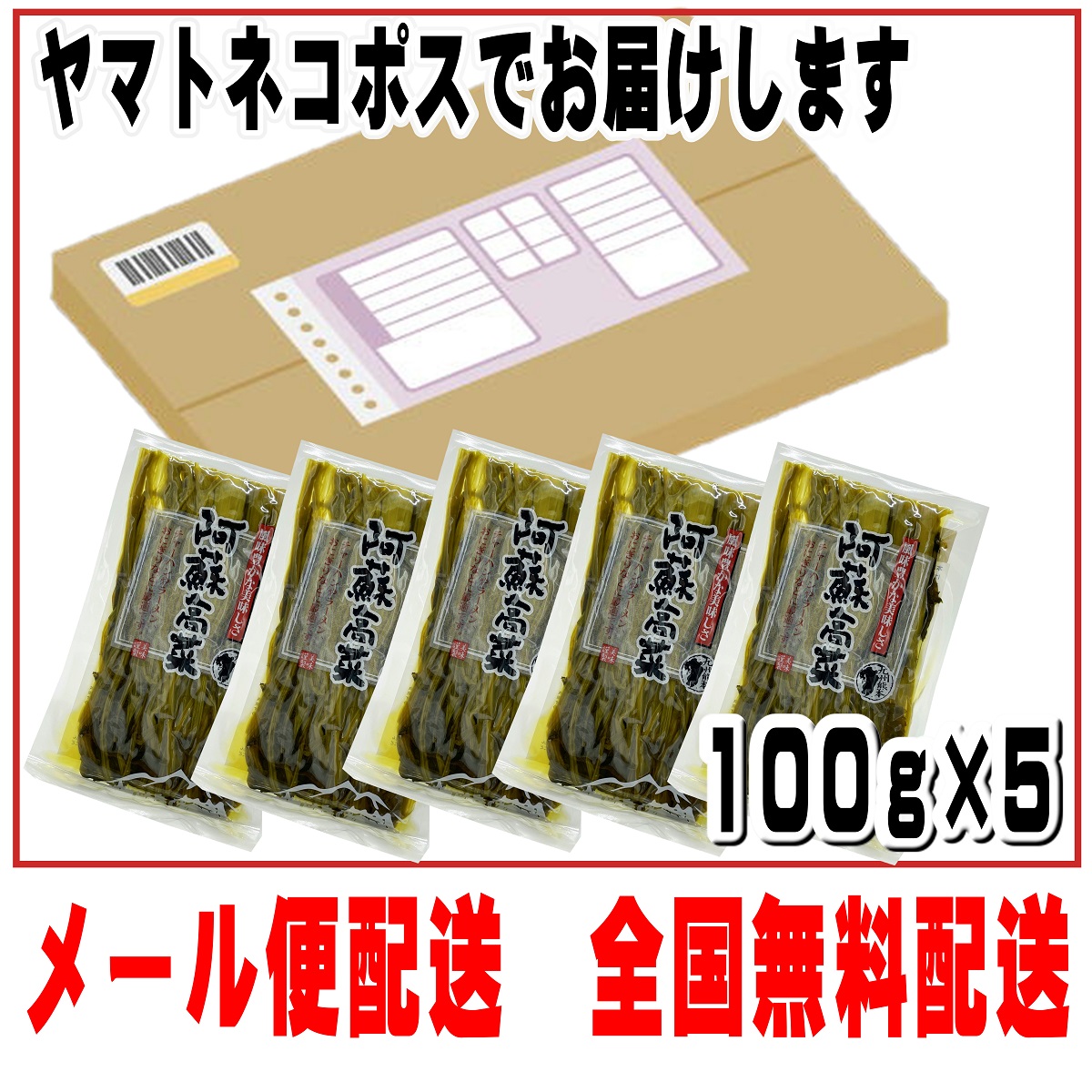 市場 熊本 くまもと 100g×5袋 阿蘇高菜 誠食品 高菜 阿蘇産 全国送料無料 阿蘇 漬物