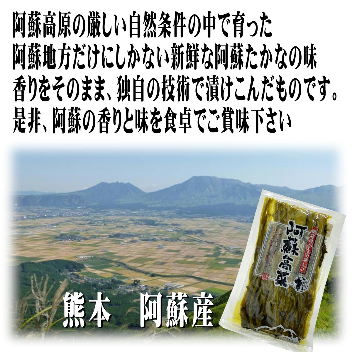 市場 熊本 くまもと 100g×5袋 阿蘇高菜 誠食品 高菜 阿蘇産 全国送料無料 阿蘇 漬物