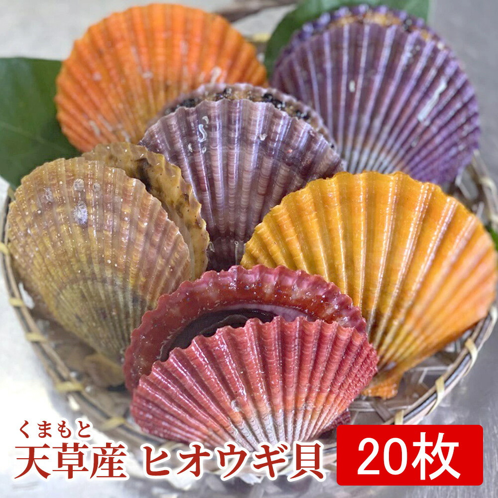 全巻揃】週刊日本の街道 +大日本道中細見記