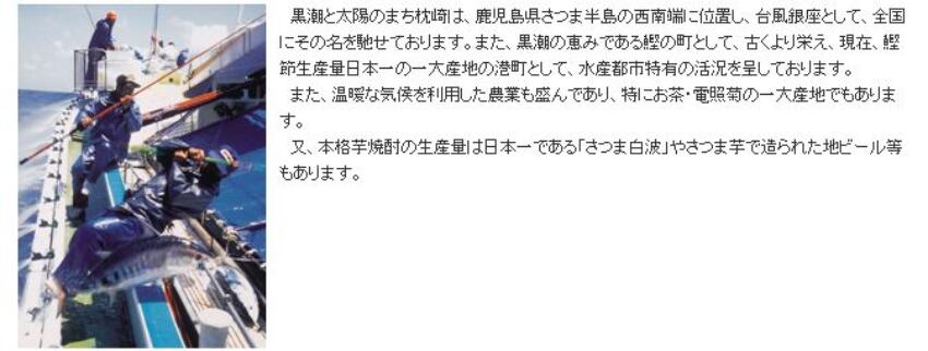 市場 鹿児島枕崎産 業務用 送料無料 5.0kg ギフト 贈答 臭みなし かつお公社 お刺身用 鹿児島特産 かつおたたき タレ付き 冷凍 お取り寄せ