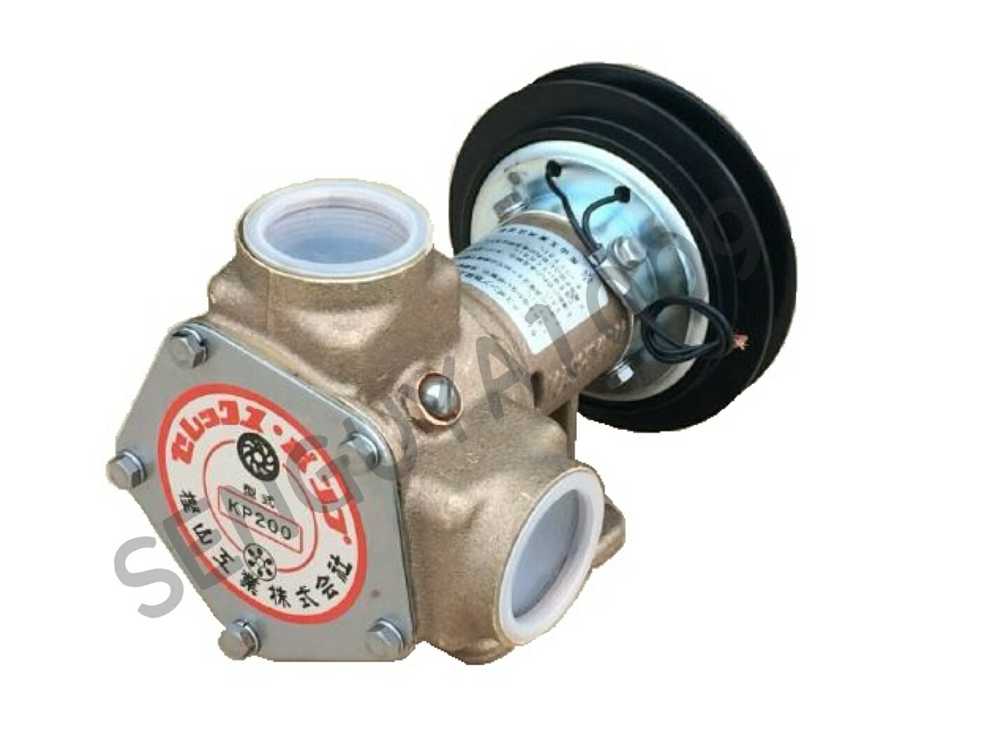 楽天市場】樫山工業 KP-200-BCH セレックスポンプ カシヤマ 電磁