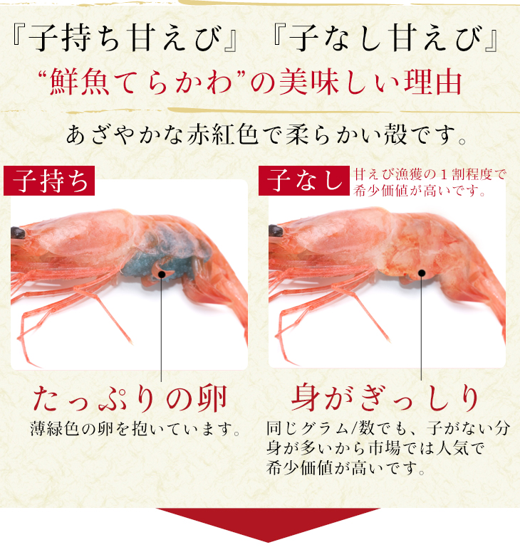 偉大な ギフト 大サイズ1kg 山陰の天然 子持ち 子なし甘えび 詰め合わせ1kg 大サイズ48匹 4 8人前 無添加 無着色エビ えび あまえび アマエビ 甘エビ 甘海老 日本海 甘エビ ギフト山陰海岸国立公園が育んだ日本海の甘えび 内祝い Tourismo Rs