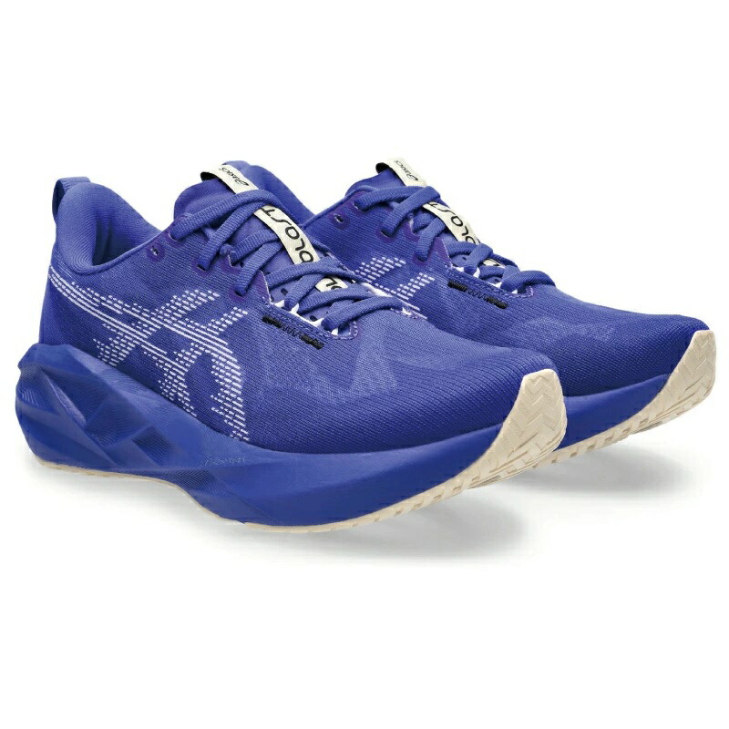 asics/アシックス ウィメンズ ノヴァブラスト 5（1012B765-403）