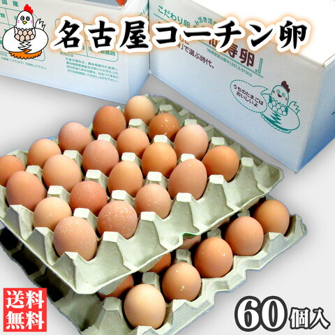 【送料無料】名古屋コーチン卵６０個入（破損保証６個を含む）