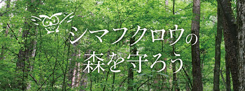 市場 もりもと 贈り物 千歳 北ふく郎 北海道バターサブレ ギフト プレゼント 北海道