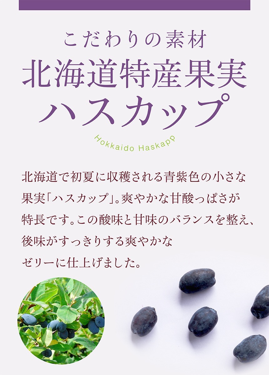 もりもと 太陽いっぱいのハスカップゼリー 3個入 80g お土産 ギフト ゼリー 人気 北海道 手土産 果実 贈り物 欲しいの 80g