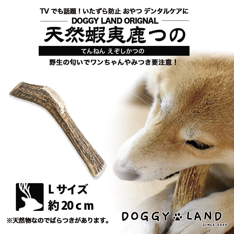 楽天市場 Deerhorn Lサイズ 北海道産 鹿角 ペット 犬 おもちゃ 大型犬 プレゼント いたずら防止 おやつ デンタルケア ガム 犬用 鹿の角 天然 無添加 送料無料 L ゴールデンレトリーバー ドーベルマン ダルメシアン 北海道銘菓 センカランド