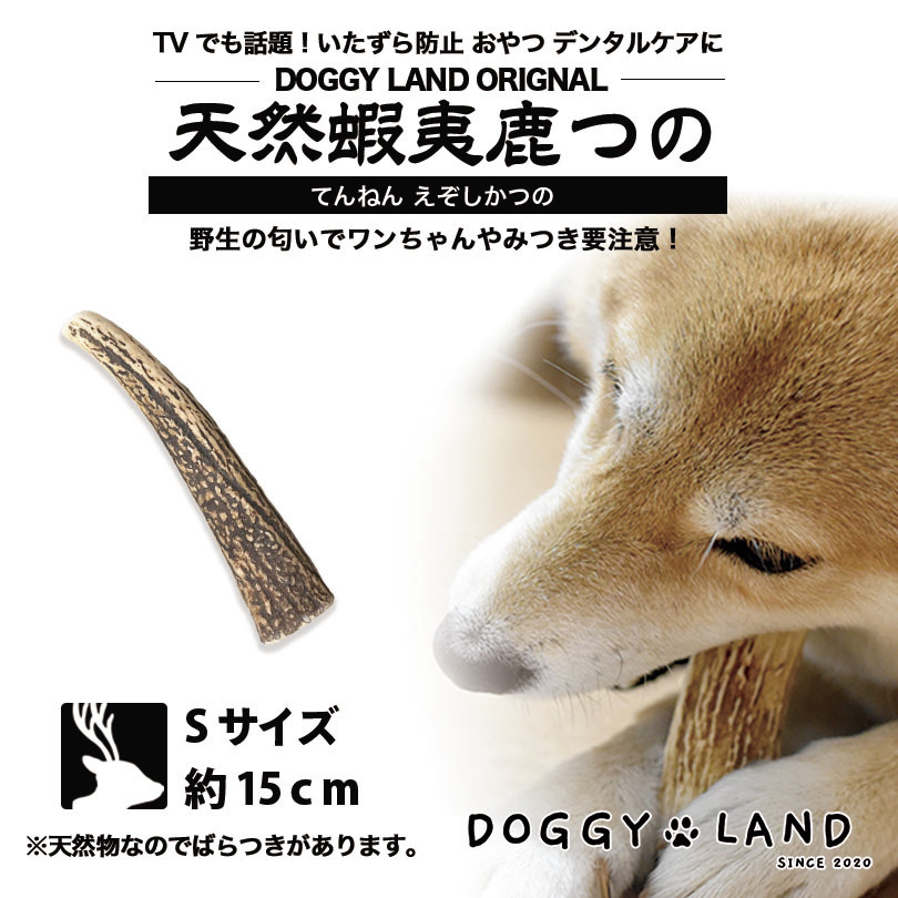 楽天市場 Deerhorn Xsサイズ 北海道産 鹿角 ペット 犬 おもちゃ 小型犬 プレゼント いたずら防止 おやつ デンタルケア ガム 犬用 鹿の 角 天然 無添加 送料無料 チワワ トイプードル ミニチュアダックス ポメラニアン いぬ イヌ チワワ トイプードル 北海道銘菓