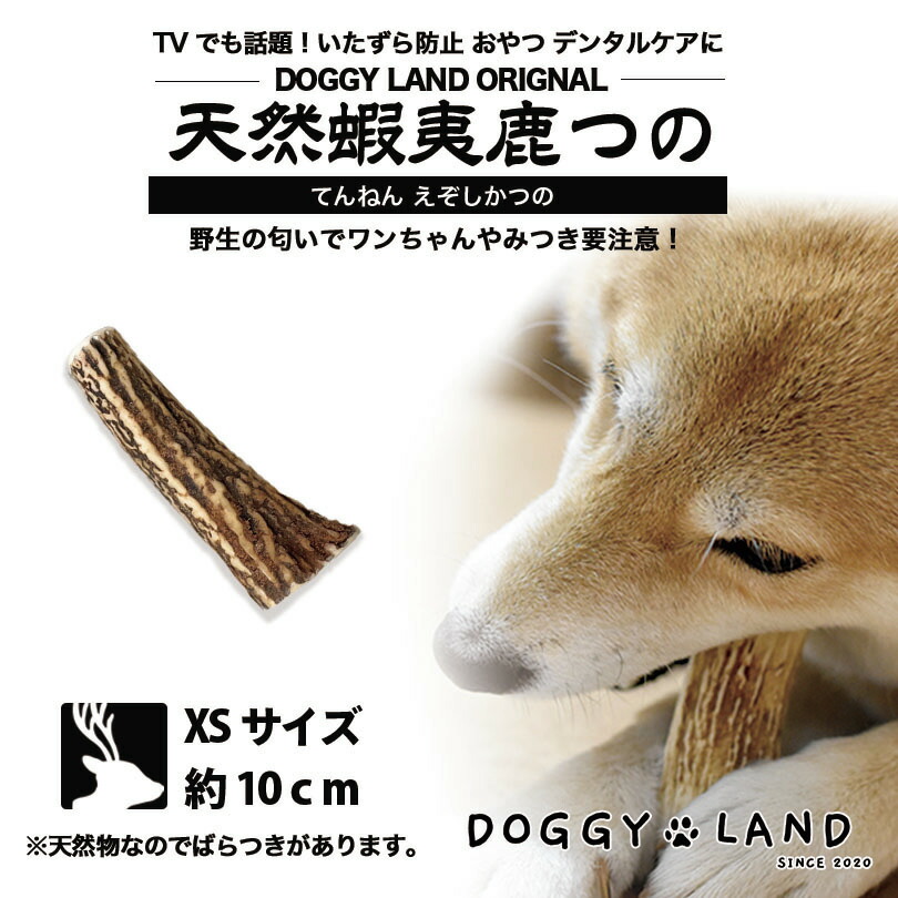 楽天市場 Deerhorn Xsサイズ 北海道産 鹿角 ペット 犬 おもちゃ 小型犬 プレゼント いたずら防止 おやつ デンタルケア ガム 犬用 鹿の角 天然 無添加 送料無料 チワワ トイプードル ミニチュアダックス ポメラニアン 北海道銘菓 センカランド