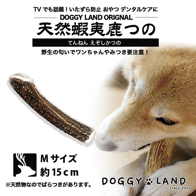 楽天市場 Deerhorn Xsサイズ 北海道産 鹿角 ペット 犬 おもちゃ 小型犬 プレゼント いたずら防止 おやつ デンタルケア ガム 犬用 鹿の 角 天然 無添加 送料無料 チワワ トイプードル ミニチュアダックス ポメラニアン いぬ イヌ チワワ トイプードル 北海道銘菓