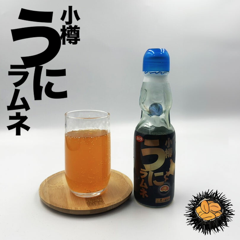 野島 小樽うにラムネ 200ml 送料無料 北海道 小樽市 雲丹 ラムネ 炭酸飲料 ご当地 お土産 贈り物 プレゼント ギフト