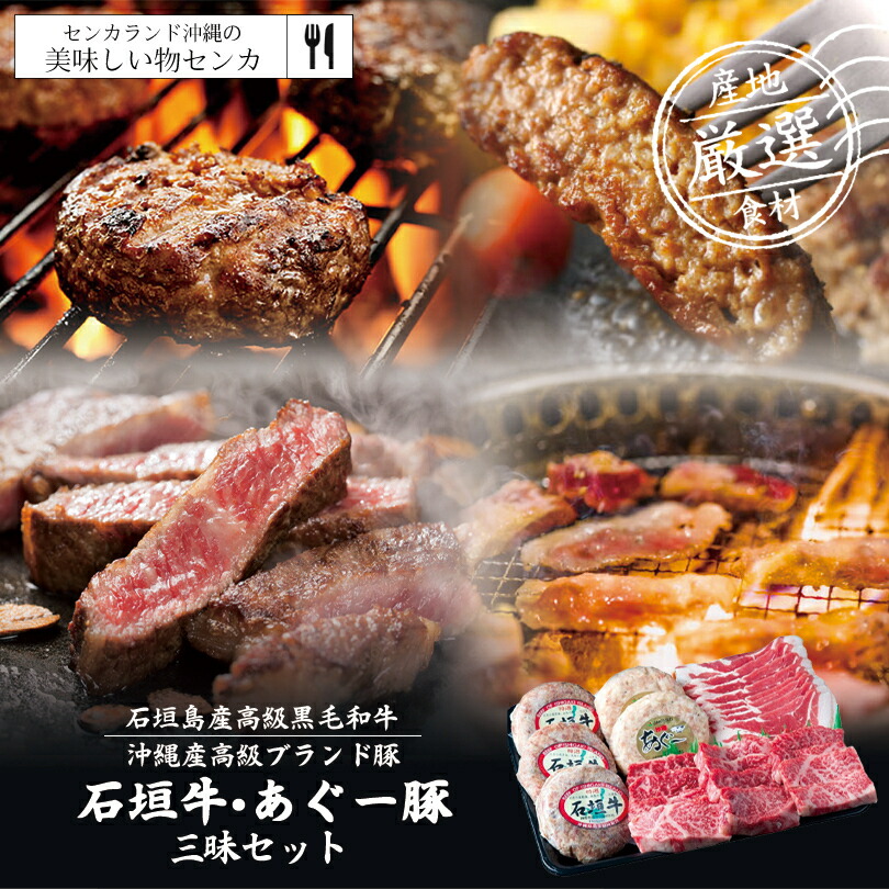 石垣牛・あぐー豚三昧セット 1kg 【贈答用化粧箱入り】 送料無料 沖縄県 お取り寄せグルメ 御歳暮 お中元 ギフト プレゼント 国産 贈り物 産地直送