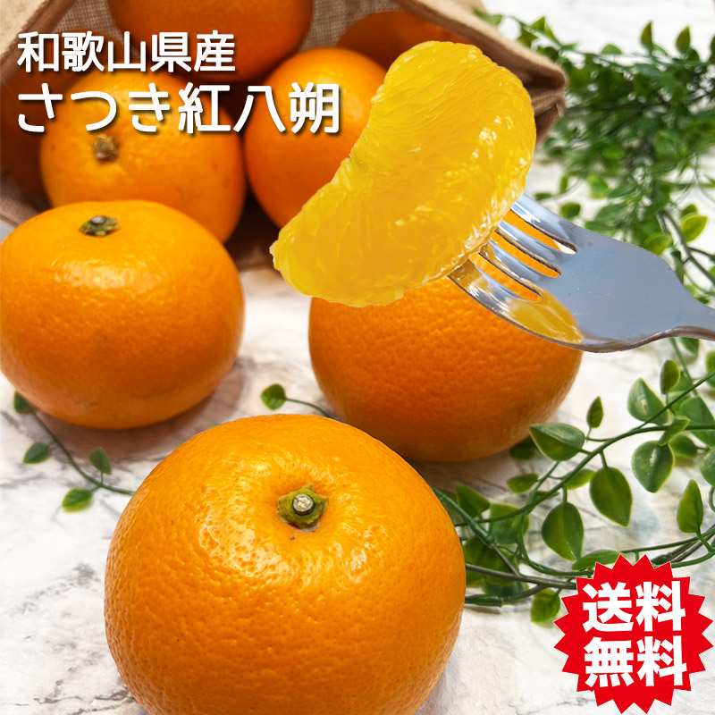 さつき はっさく 紅八朔 みかん 秀品 M 10Kg箱 送料無料 和歌山県産 有田 さつき 紅八朔 秀品 Mサイズ 10kg箱 ギフト べにはっさく