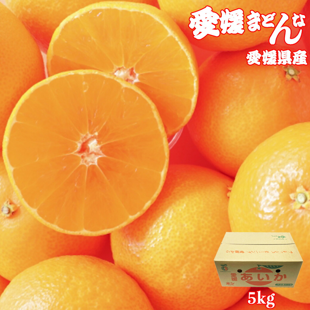 愛果28号　10ｋｇ 楽天市場】愛果28号 10kg A品 贈答品質 愛媛県産「あいか」愛媛果試28